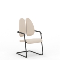 XENIUM frame chair CF DUO-BACK