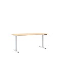 eUP Prime Schreibtisch T-LEG 2S mit elektromotorischer Höhenverstellung